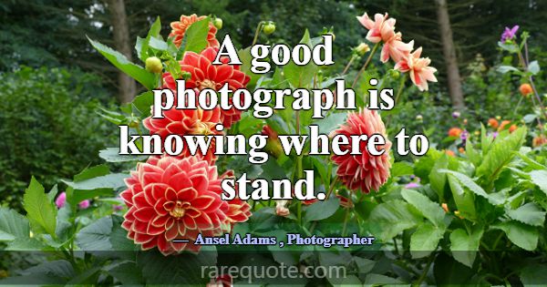 A good photograph is knowing where to stand.... -Ansel Adams