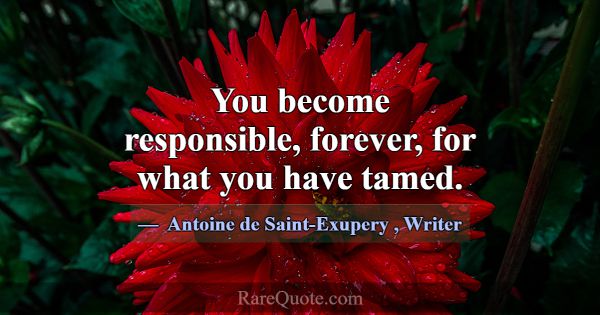 You become responsible, forever, for what you have... -Antoine de Saint-Exupery