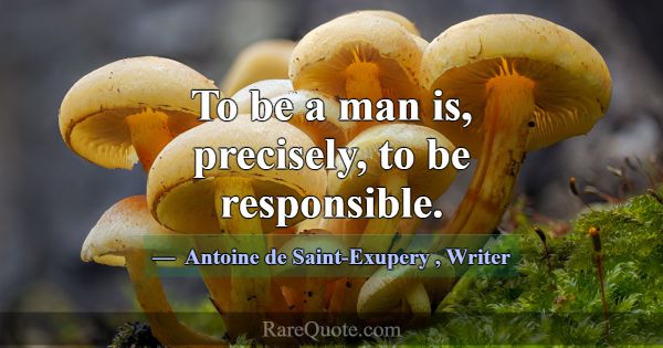 To be a man is, precisely, to be responsible.... -Antoine de Saint-Exupery