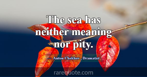 The sea has neither meaning nor pity.... -Anton Chekhov
