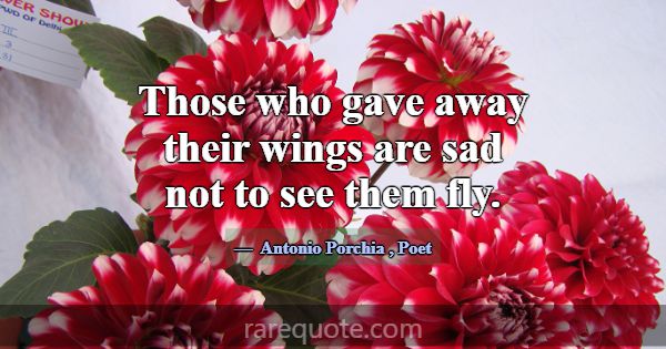 Those who gave away their wings are sad not to see... -Antonio Porchia