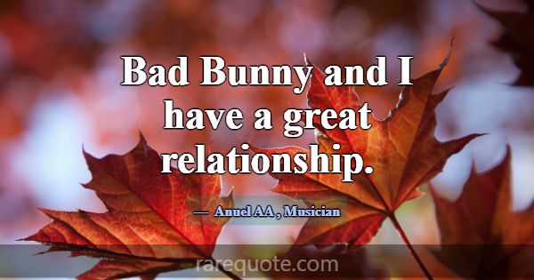 Bad Bunny and I have a great relationship.... -Anuel AA