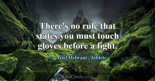 There's no rule that states you must touch gloves ... -Ariel Helwani