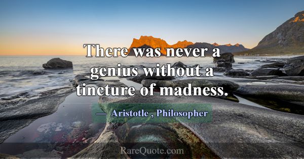 There was never a genius without a tincture of mad... -Aristotle