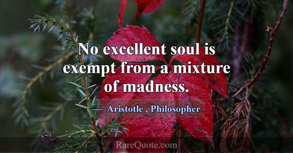 No excellent soul is exempt from a mixture of madn... -Aristotle