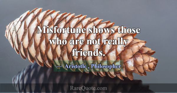 Misfortune shows those who are not really friends.... -Aristotle