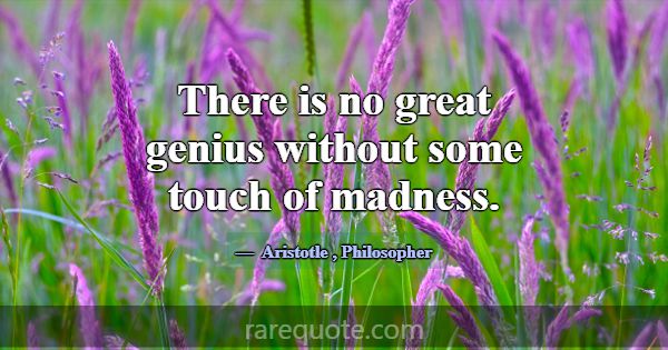 There is no great genius without some touch of mad... -Aristotle