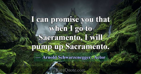 I can promise you that when I go to Sacramento, I ... -Arnold Schwarzenegger