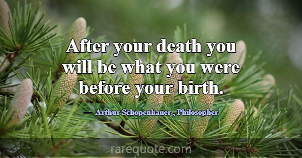After your death you will be what you were before ... -Arthur Schopenhauer