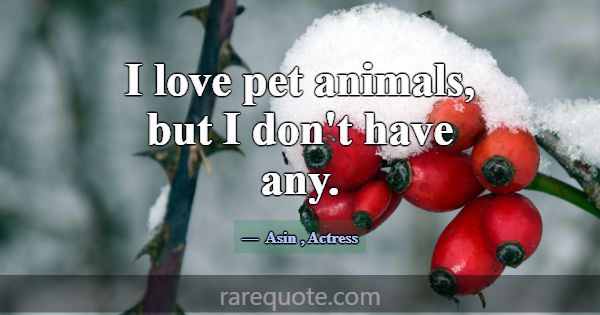 I love pet animals, but I don't have any.... -Asin