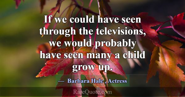 If we could have seen through the televisions, we ... -Barbara Hale