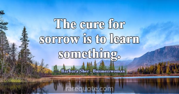 The cure for sorrow is to learn something.... -Barbara Sher