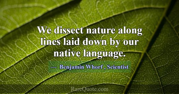 We dissect nature along lines laid down by our nat... -Benjamin Whorf