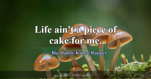 Life ain't a piece of cake for me.... -Big Daddy Kane