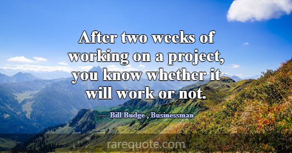 After two weeks of working on a project, you know ... -Bill Budge