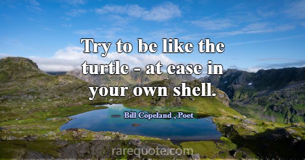 Try to be like the turtle - at ease in your own sh... -Bill Copeland