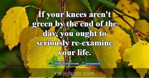 If your knees aren't green by the end of the day, ... -Bill Watterson
