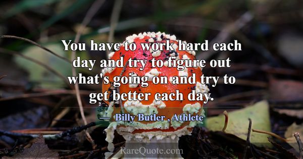 You have to work hard each day and try to figure o... -Billy Butler