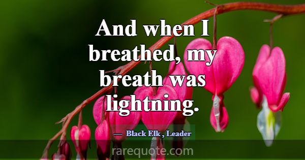 And when I breathed, my breath was lightning.... -Black Elk