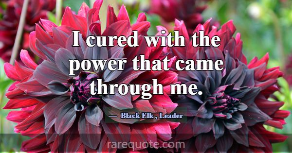 I cured with the power that came through me.... -Black Elk