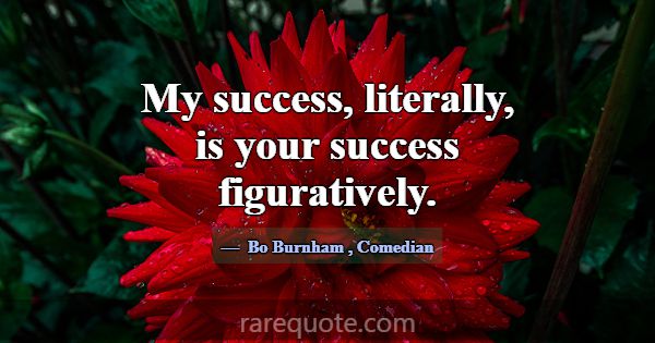 My success, literally, is your success figurativel... -Bo Burnham