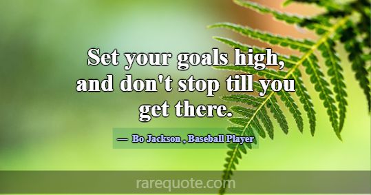Set your goals high, and don't stop till you g... -Bo Jackson