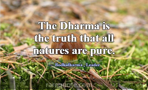 The Dharma is the truth that all natures are pure.... -Bodhidharma