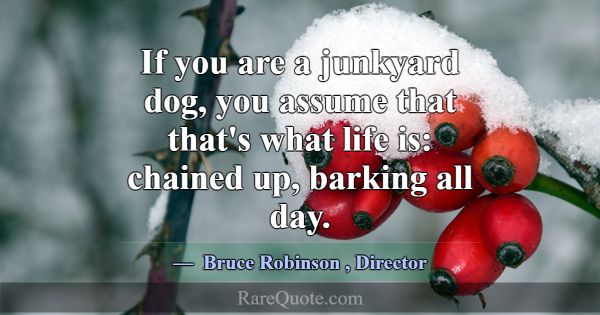If you are a junkyard dog, you assume that that's ... -Bruce Robinson