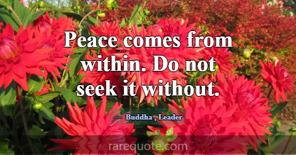 Peace comes from within. Do not seek it without.... -Buddha