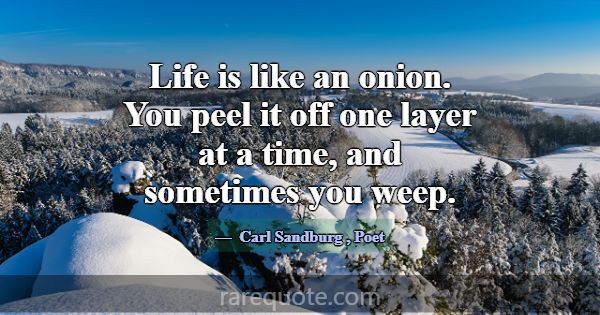 Life is like an onion. You peel it off one layer a... -Carl Sandburg