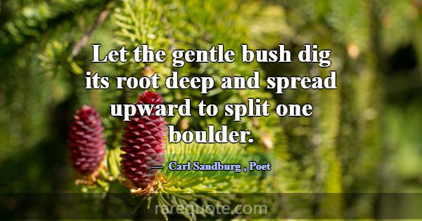 Let the gentle bush dig its root deep and spread u... -Carl Sandburg
