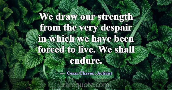We draw our strength from the very despair in whic... -Cesar Chavez