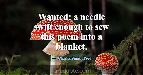 Wanted: a needle swift enough to sew this poem int... -Charles Simic