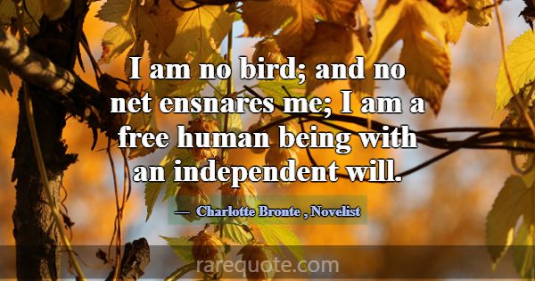 I am no bird; and no net ensnares me; I am a free ... -Charlotte Bronte