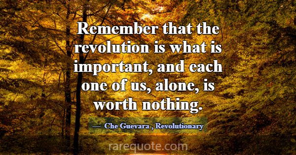Remember that the revolution is what is important,... -Che Guevara