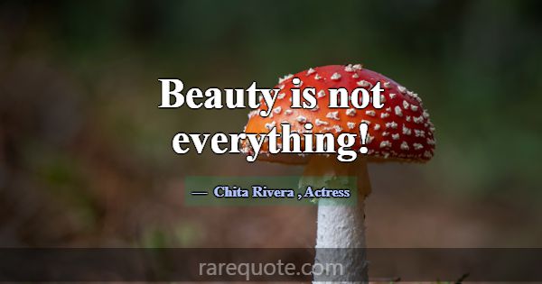 Beauty is not everything!... -Chita Rivera