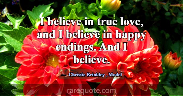 I believe in true love, and I believe in happy end... -Christie Brinkley