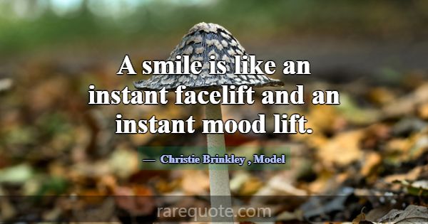 A smile is like an instant facelift and an instant... -Christie Brinkley