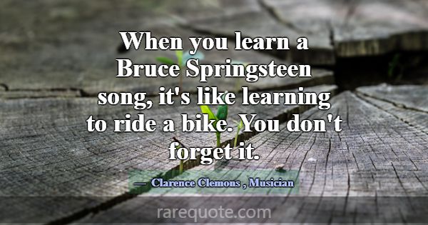 When you learn a Bruce Springsteen song, it's like... -Clarence Clemons