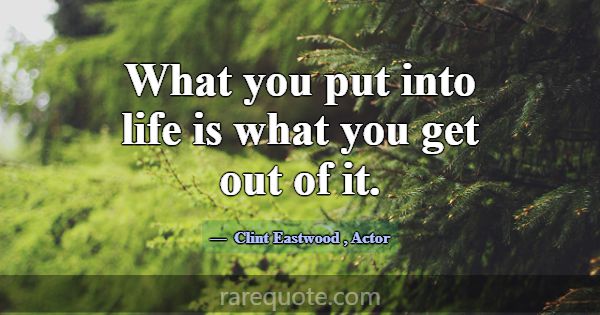 What you put into life is what you get out of it.... -Clint Eastwood