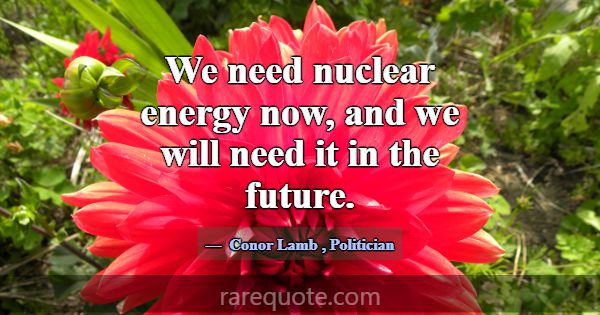 We need nuclear energy now, and we will need it in... -Conor Lamb