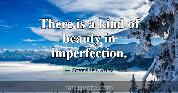 There is a kind of beauty in imperfection.... -Conrad Hall
