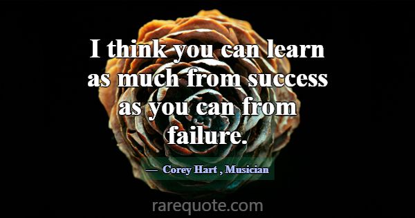 I think you can learn as much from success as you ... -Corey Hart