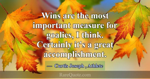 Wins are the most important measure for goalies, I... -Curtis Joseph
