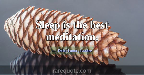 Sleep is the best meditation.... -Dalai Lama