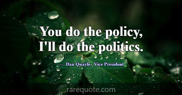 You do the policy, I'll do the politics.... -Dan Quayle