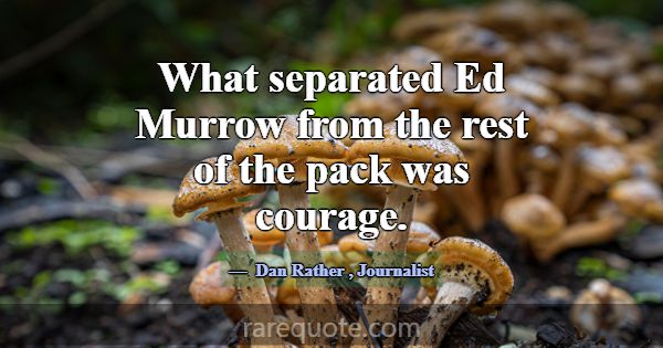 What separated Ed Murrow from the rest of the pack... -Dan Rather