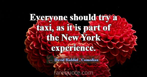 Everyone should try a taxi, as it is part of the N... -David Baddiel