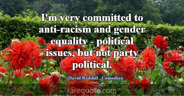 I'm very committed to anti-racism and gender equal... -David Baddiel