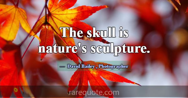 The skull is nature's sculpture.... -David Bailey